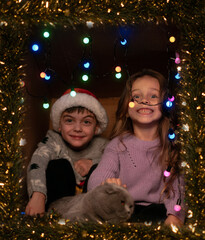 Happy children in Christmas sweaters laughing by tree with lights enjoying festive holiday atmosphere