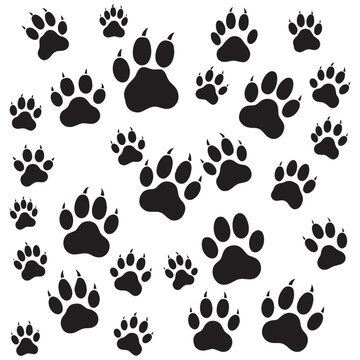 Dynamic black paw prints create a playful and energetic pattern perfect for animal-themed designs and wildlife projects
