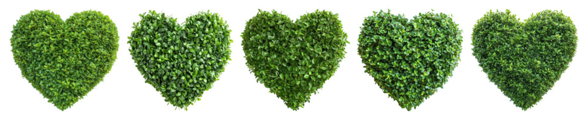 Obraz premium Green heart-shaped hedge pattern