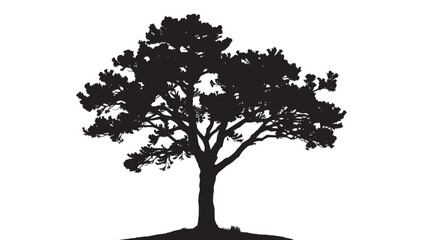 Majestic silhouette of a mature tree with sprawling branches and lush foliage against a clean white background, perfect for design.