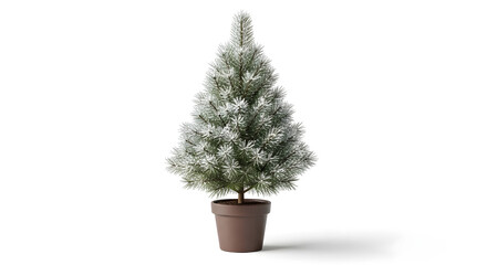 Small christmas tree with snow in a brown pot on a white background for decoration
