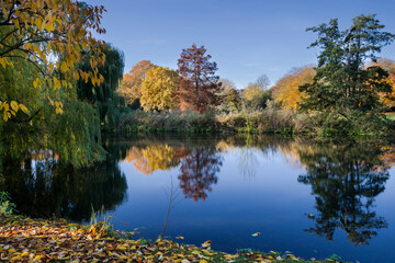 Hamburg Rotherbaum Herbstim Alstervorland