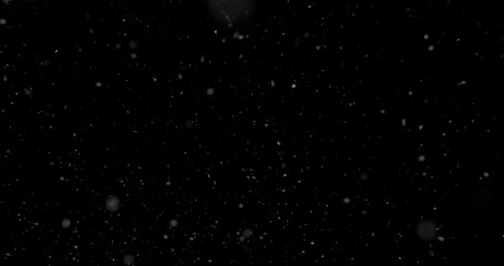 Falling snowflakes isolated on black background. Winter snow overlay texture for VFX, compositing,...