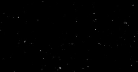 Obraz premium Falling snowflakes isolated on black background. Winter snow overlay texture for VFX, compositing, motion graphics and atmospheric effects