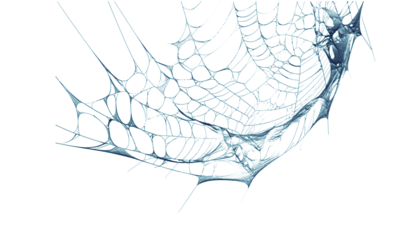 Intricate blue spiderweb texture against transparent background