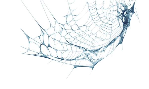 Intricate blue spiderweb texture against transparent background