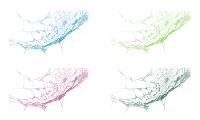 Colorful abstract network pattern with intricate digital lines