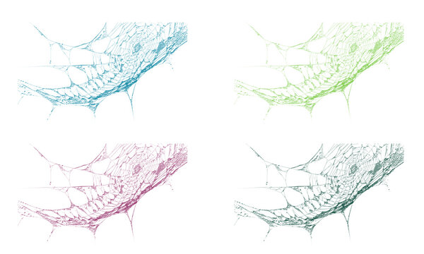 Colorful abstract network pattern with intricate digital lines