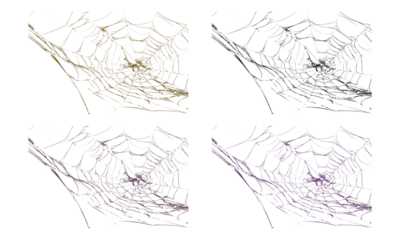 Intricate spider webs in golden and purple for halloween design