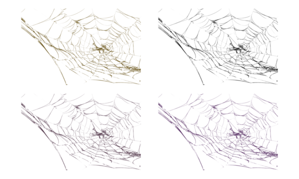 Intricate spider webs in golden and purple for halloween design