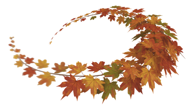 Vibrant autumn maple leaves cascade in a swirling motion, creating a dynamic seasonal border perfect for festive designs.