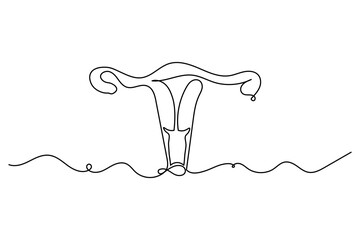 Women's uterus continuous one line drawing of female reproductive outline illustration
