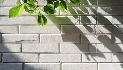 white brick wall with sunlight and green leaves branch casting shadow texture
