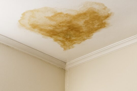 Leaking roof close-up with dripping water and wet stains on the ceiling. Water damage from roof leak indoors