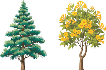 Coniferous pine tree and flowering deciduous tree with yellow blossoms, nature contrast, evergreen foliage, tropical bloom, forest diversity, botanical illustration, seasonal flora, landscape 