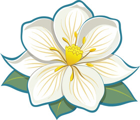 Obraz premium vector illustration of a Franklinia alatamaha flower