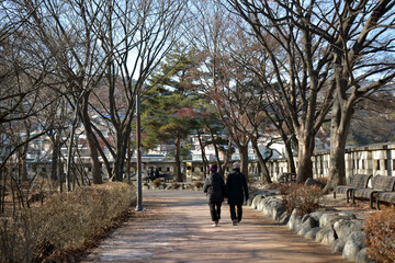 autumn park in the city