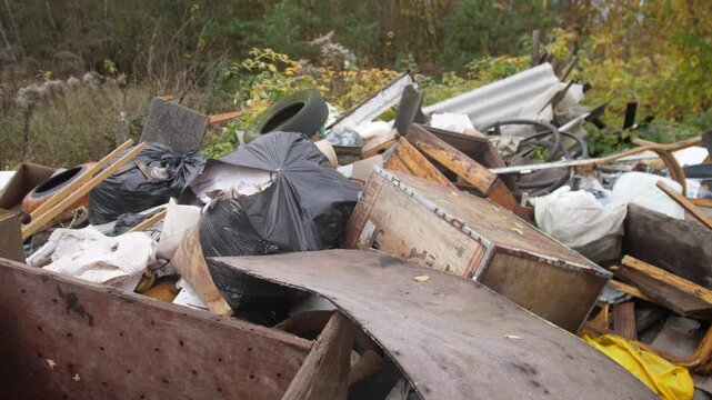 volunteers clear littered woodland edge, community volunteers comb area for recyclable and valuable materials, environmental cleanup effort as volunteers sort through waste near wooded