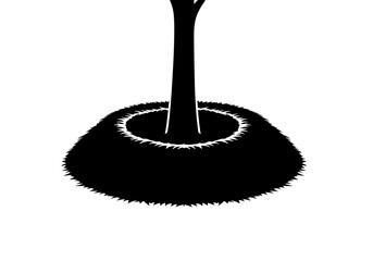 Organic mulching around a tree on a transparent background
