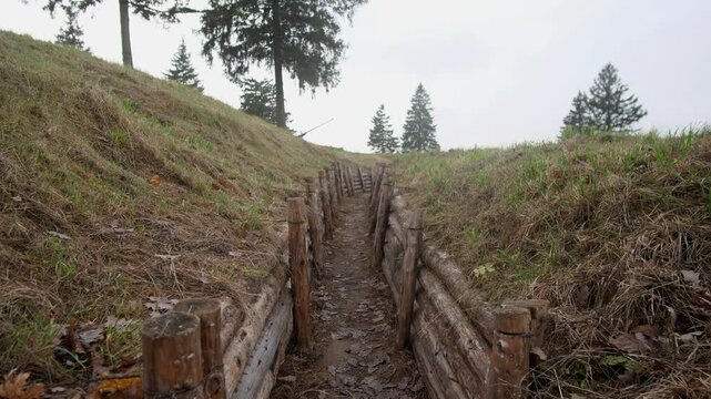 eroded embankment along quiet pine route, silent memorial path bordered by ancient coniferous slopes, peaceful and weathered trail amidst towering pines and gentle hillside erosion