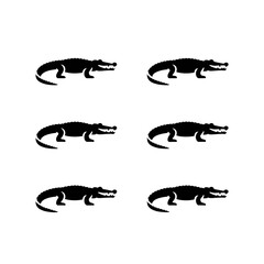 Alligator outlines repeat for dynamic design asset