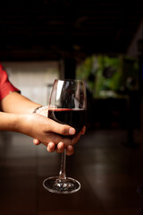 Close-up shot of two hands holding a glass of red wine, showing rich wine color, reflections, and elegant glass details, creating a warm, intimate and celebratory mood.