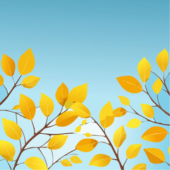 The leaves of the tree are yellow and orange
1