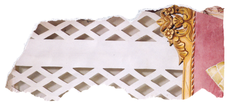 A close-up, torn edge view of a white fabric with a diamond pattern and a decorative gold trim. A portion of a pink fabric is visible to the right, suggesting interior design or upholstery elements.