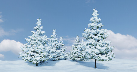 Snowy Evergreen Trees Winter Outdoor Scenic Landscape