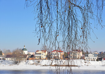 Bare branches of birch tree, blurred cityscape 