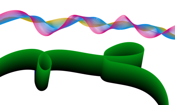 Dynamic multicolored wave pattern above flowing green abstract ribbon isolated on transparent background