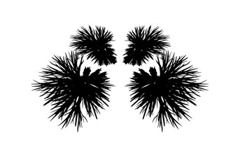 Abstract black graphic design with plant-like shapes on transparent background  