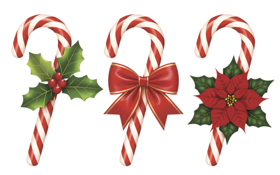 Three classic red and white striped candy canes decorated with festive christmas holly and a red bow