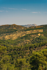 Obraz premium Hilly landscape with different species of trees in green color gradations under blue sky. National Park Montes de Malaga, Andalusia, Spain.