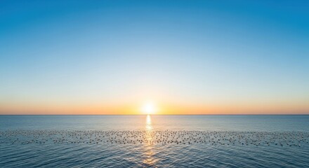 Golden Hour Seascape with Water Birds and Calm Reflections