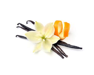 Vanilla pods with vanilla flower and zend citrus