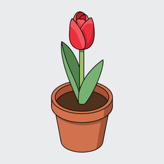 Vibrant red tulip blooms in terracotta pot, bringing natural beauty indoors