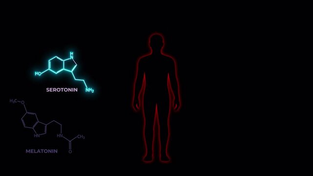 Animated human silhouette with a red glowing aura as hormone molecule structures (melatonin, serotonin, adrenaline, dopamine, cortisol, testosterone) appear clockwise with neon flash, Alpha channel BG