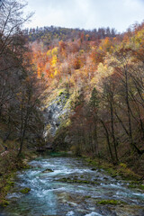 The Radovna River creative  impressive landscapes of Vintgar gorge in Triglav National Park in Slovenia.