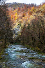 The Radovna River creative  impressive landscapes of Vintgar gorge in Triglav National Park in Slovenia.