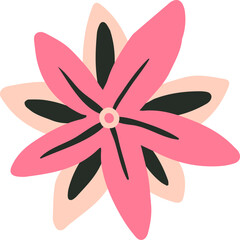 Pink flower drawing on white background