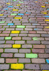 Colorful Cobblestone Path with Moss