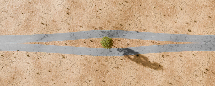 3D tree splits highway in arid desert
