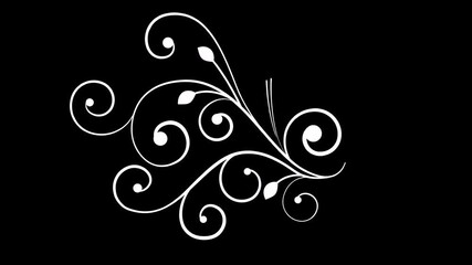 Elegant white flourish on black background, perfect for elegant wedding invitations or luxury branding projects