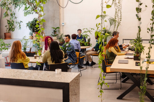 Diverse professionals working and collaborating in modern biophilic office