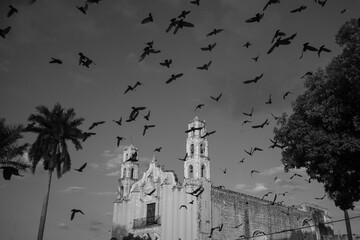 Black and white photo of colonial church in Valladolid Yucatán with dramatic flock of birds flying overhead, moody sky, historic architecture and tropical trees creating atmospheric travel, culture