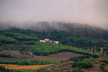 casa em colina verde