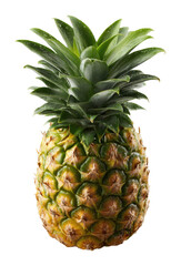 Fresh pineapple harvest tropical garden food isolated on transparent background