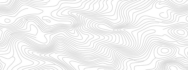 Fototapeta premium Abstract Topographic Lines A Detailed White and Gray Pattern 1.