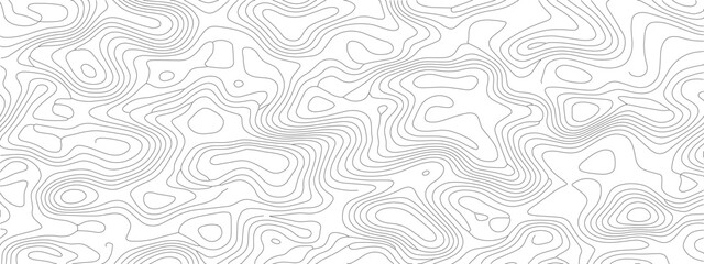 Abstract white topographic map with contour lines pattern.